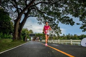 BIB: 
                            <button type="button" onclick="openModal(26537410)" class="btn btn-primary btn-sm float-right btn-popup" data-toggle="modal" data-target=".modal-high-quality">
                        <i class="fas fa-shopping-cart"></i> Add to Cart
                    </button>
                                            <button type="button" onclick="isThisMe(26537410, true)" class="btn btn-success btn-sm float-right btn-popup btn-isme hidden" data-toggle="tooltip" data-placement="bottom" title="นี่คือรูปของคุณใช่ไหม คลิกที่นี่เพื่อเอาเข้าอัลบั้ม">
                        <i class="fas fa-plus"></i> Add to album
                    </button>
                    <button type="button" onclick="isThisMe(26537410, false)" class="btn btn-warning btn-sm float-right btn-popup btn-isnotme hidden">
                        <i class="fas fa-ban"></i> Remove from album
                    </button>